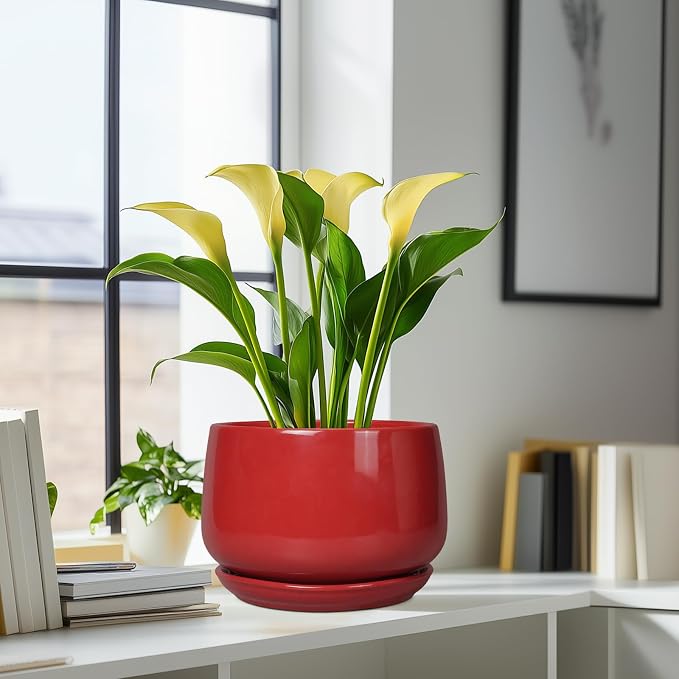G EPGardening Ceramic Plant Pots - Image 6