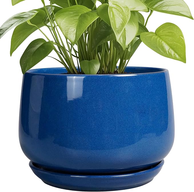 G EPGardening Ceramic Pots for Plants, 9 Inch Modern Round Planter by GEPGardening