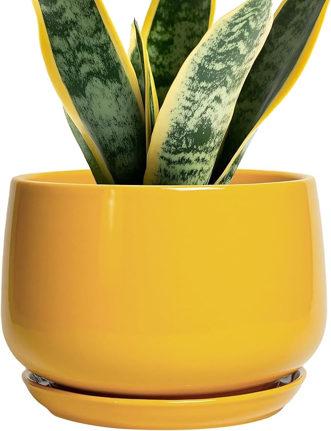 G EPGardening Ceramic Pots for Plants by GEPGardening