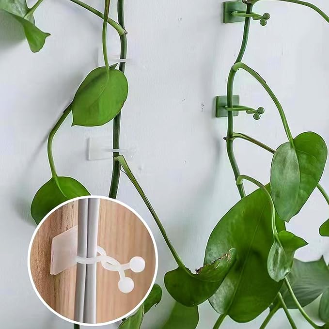 100Pcs Plant Climbing Wall Fixture Clips, Plant Vine Wall Clips Self-Adhesive - Image 5