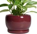 SQOWL Ceramic Planter by SQOWL