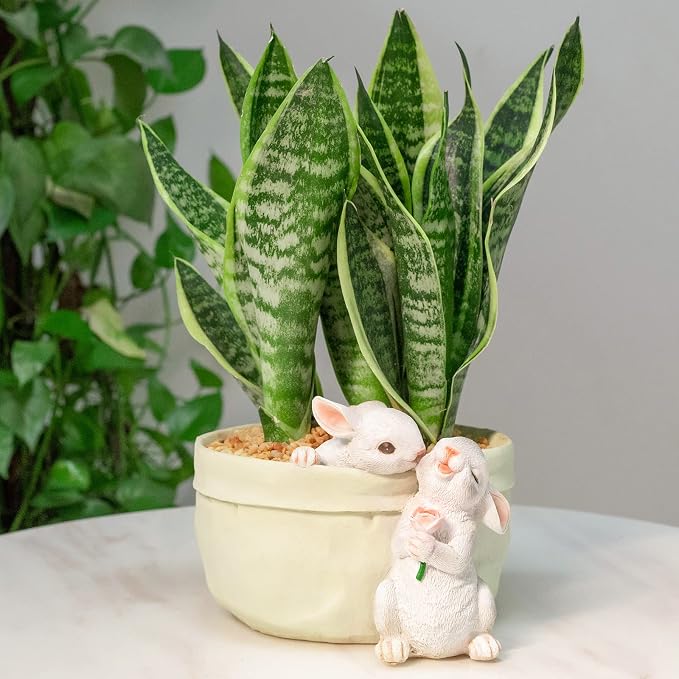 Rabbit Flower Pot Succulent Planter Garden Pots, Decorative Flower Pot - Image 7