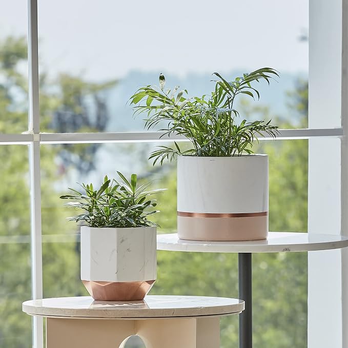 LA JOLIE MUSE White Ceramic Flower Pots - Image 2
