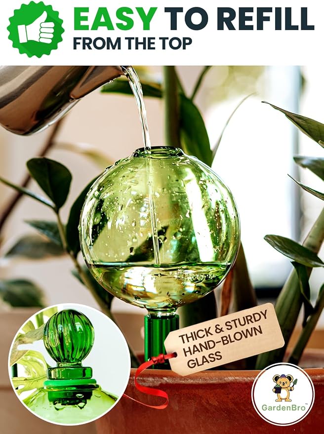 16 Oz Plant Watering Globes for Indoor Plants - Image 3