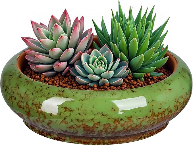 7.3 Inch Succulent Planters Pots Shallow Ceramic Glazed Planter Pots, Lotus by Unknown