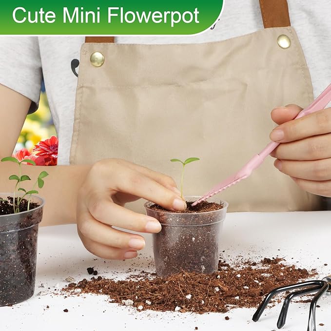 BTPLASTIK 50 Pack 2.5 Inch Clear Nursery Pots - Image 5