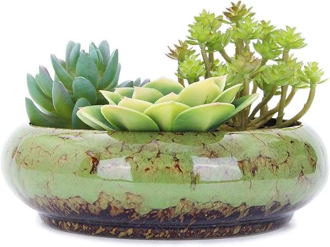 VanEnjoy 7.3 inch Round Large Shallow Succulent Ceramic Glazed Planter Pots by VanEnjoy