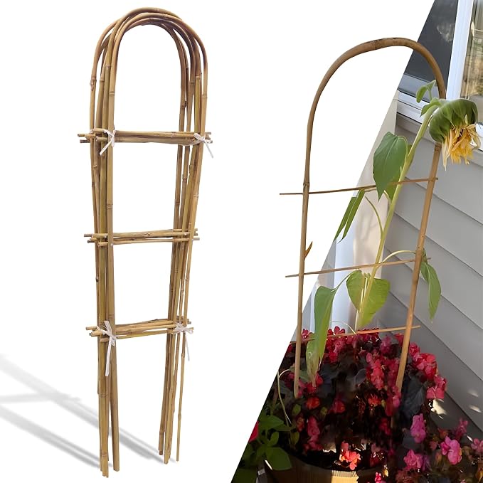 10 Pack 4ft U-Shape Bamboo Trellis by Biotolot