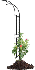 Half Sided Arch Against The Wall Garden Trellis by BUKLIYNHorticulturalProducts