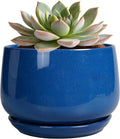 G EPGardening 6 Inch Plant Pot by GEPGardening
