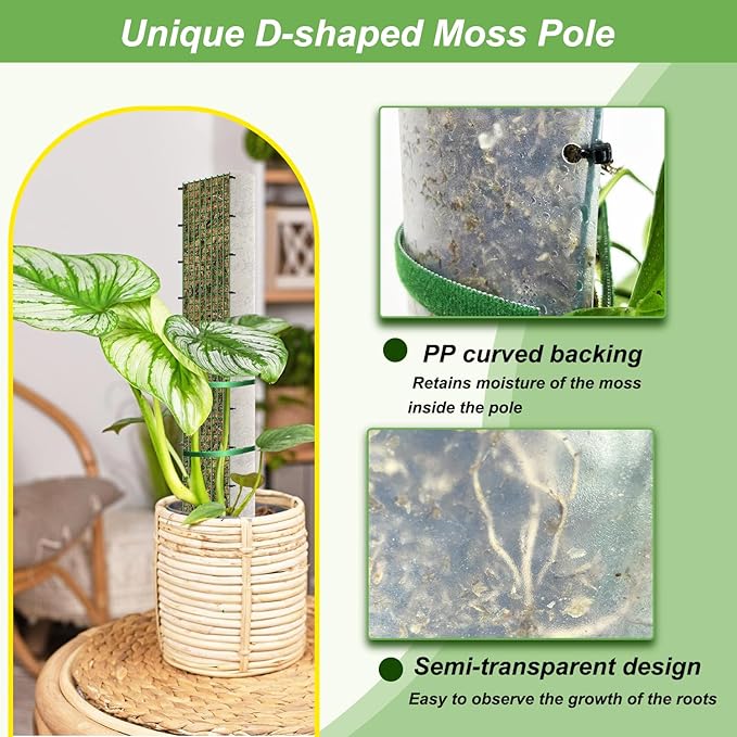 60" Metal Moss Pole, D Shape Sphagnum Moss Pole, Moss Poles - Image 3