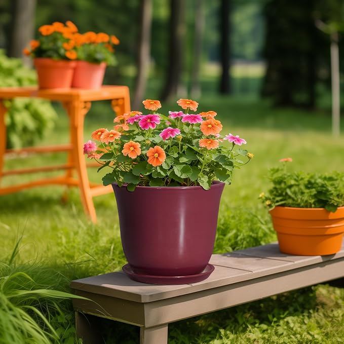 Ceramic Plant Pots - Image 5