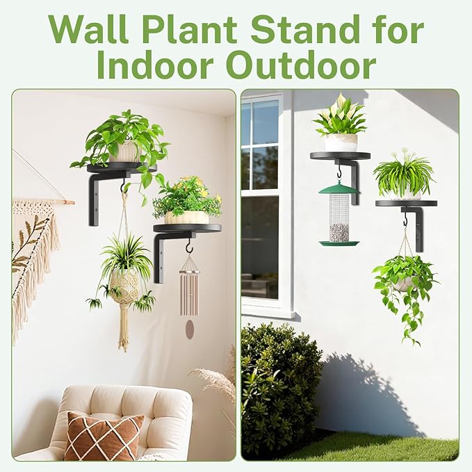 iDavosic.ly Wall Plant Holder Set of 2 - Image 5