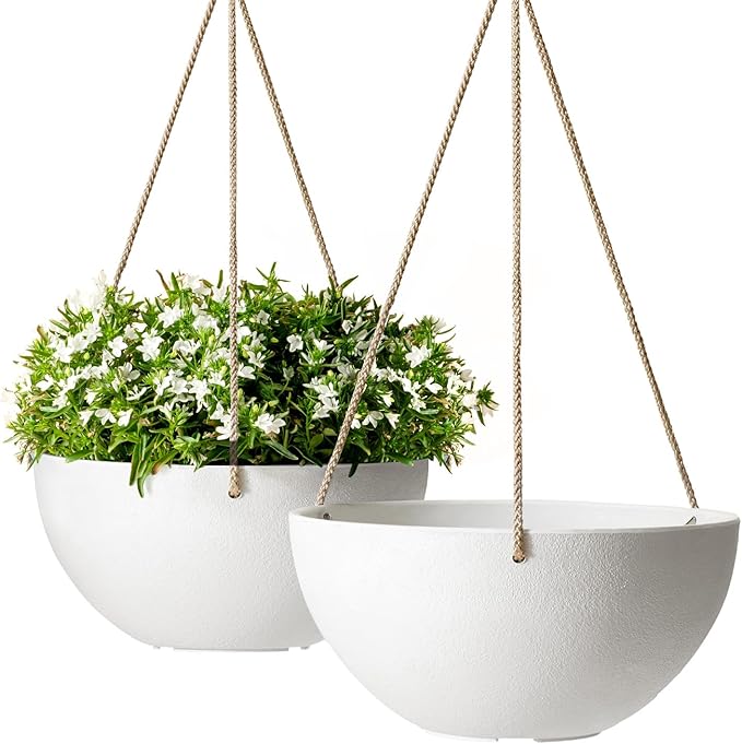 LA Jolie Muse Hanging Planter by LaJol%C3%ADeMuse