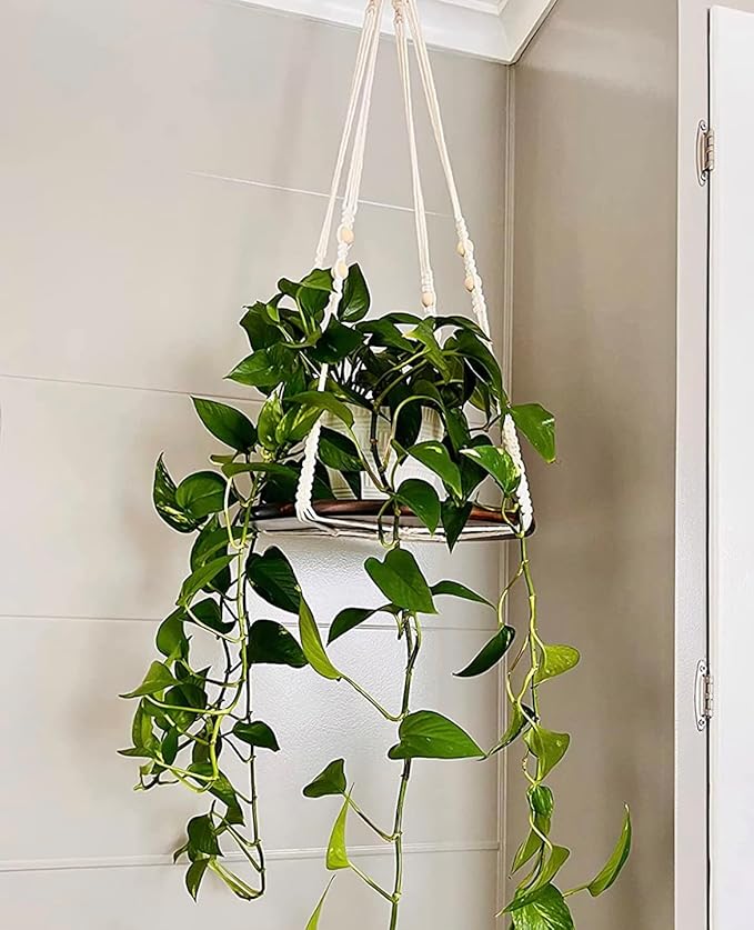 2 Pack Macrame Plant Hanger | Plant Hanger Indoor, Hanging Planter Shelf | - Image 2
