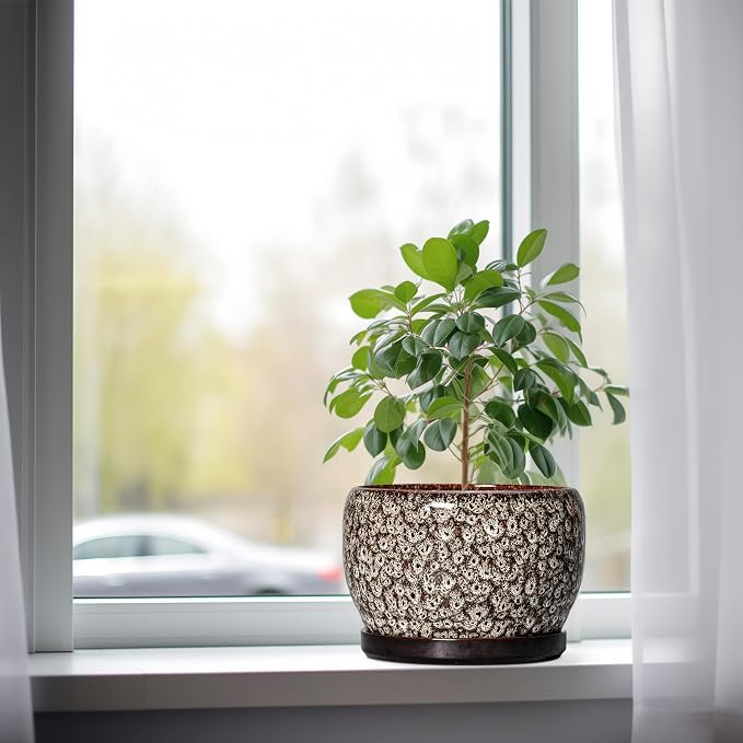SQOWL Ceramic Planter - Image 4