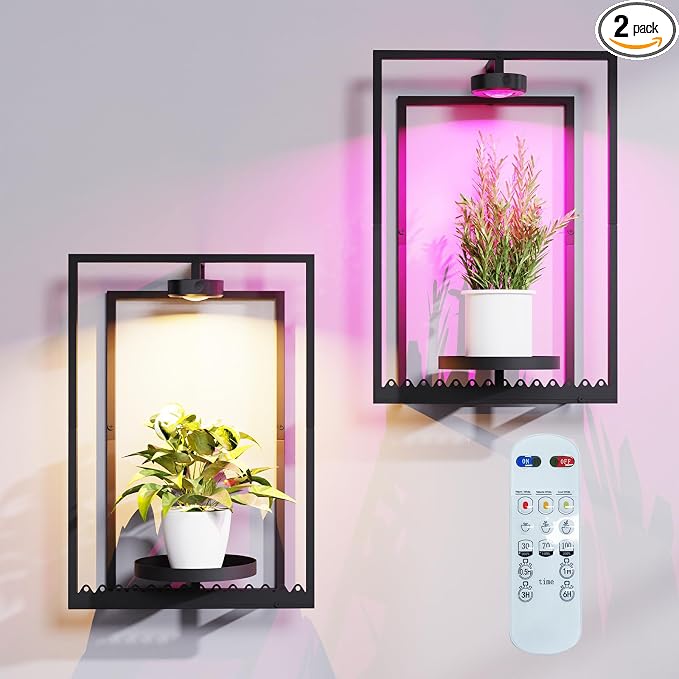 Shineled Wall Plant Holder, Indoor Plants Holders by Shineled