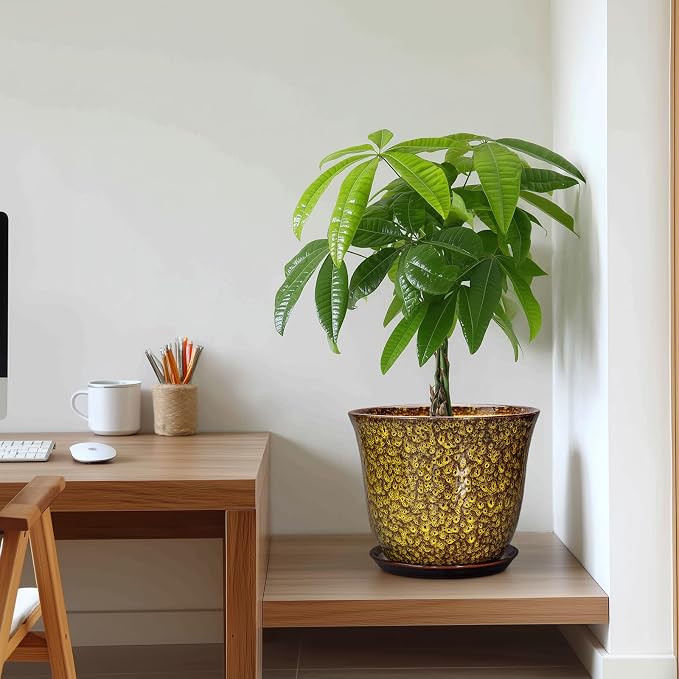 Ceramic Pots for Plants - Image 7