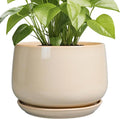 G EPGardening Ceramic Plant Pots by GEPGardening