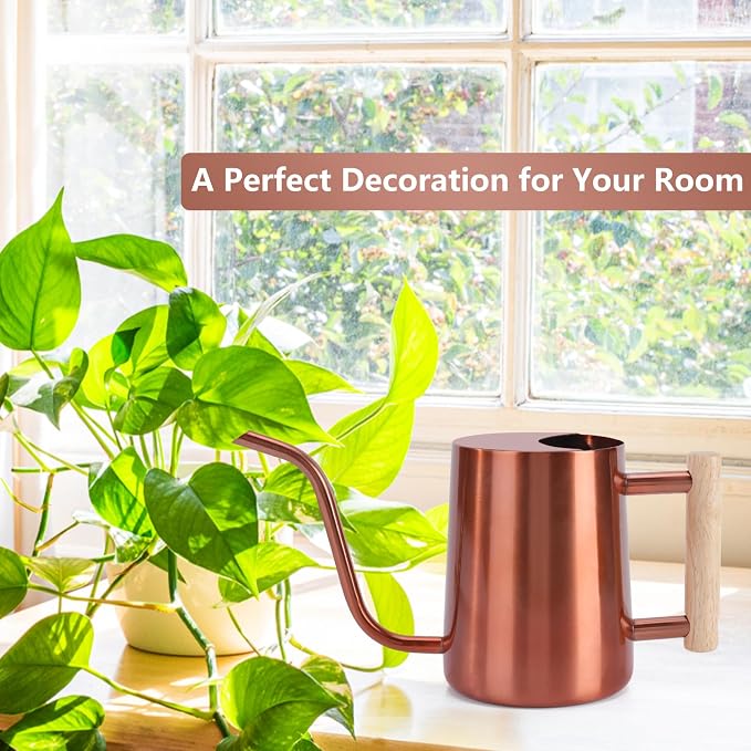 Watering Can Indoor Plants, 35oz Small Stainless Steel Metal Watering Can - Image 3