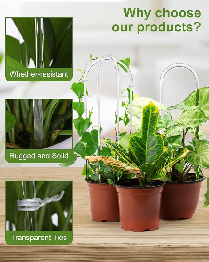 3 Pack Larger Acrylic U-Shaped Hoya Trellis, 16 Inch Indoor Climbing Plant - Image 6