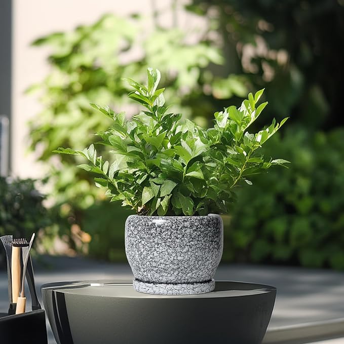 SQOWL Ceramic Pot for Plants - Image 4