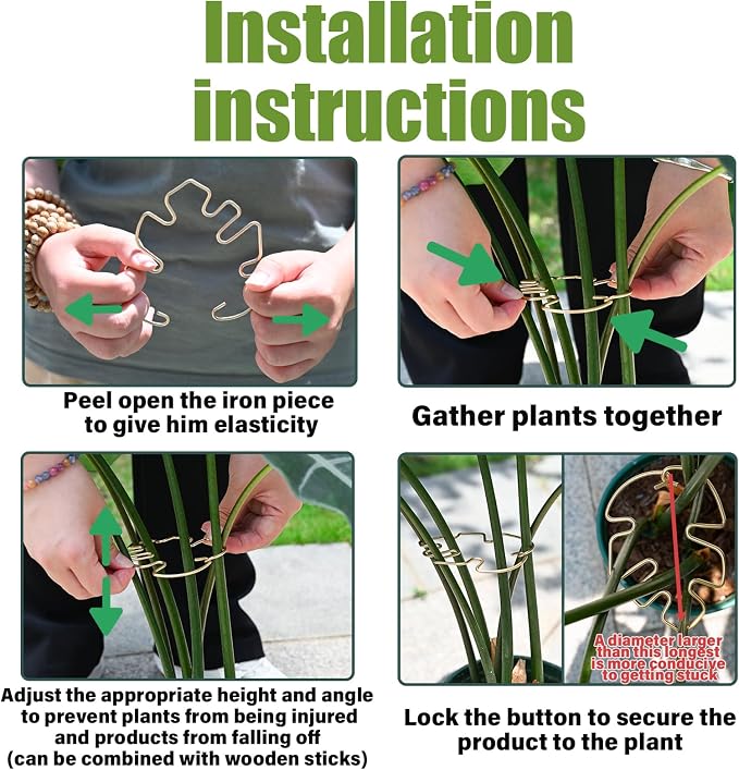 Monstera Plant Stem Support - Image 3