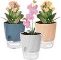 KIMCHOMERSE Self Watering Plant Pots, 4.7 Inch Plant Pots 6-Pack Indoor Planter by KIMCHOMERSE