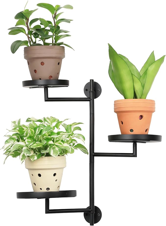 Rotating Window Wall Plant Shelves Stand Holder, 3 Tiered Metal Floating Plant by YFFSRJDJ