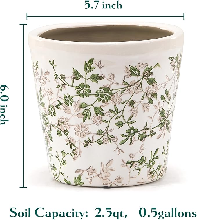 Ceramic Planter with Drainage Hole, Plastic Tray & Mesh, 6 Inch - Image 5
