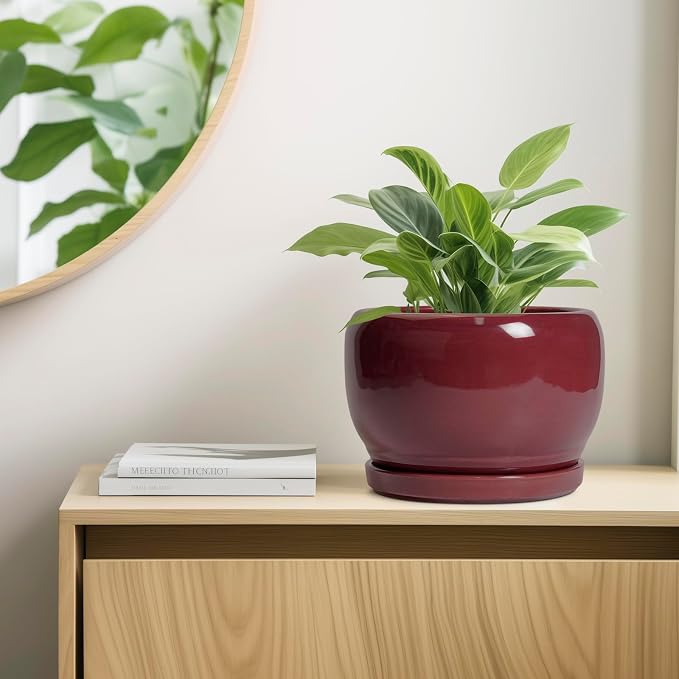 SQOWL Ceramic Pot for Plants - Image 7