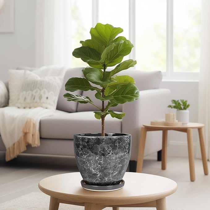 Ceraimc Planter - Image 7