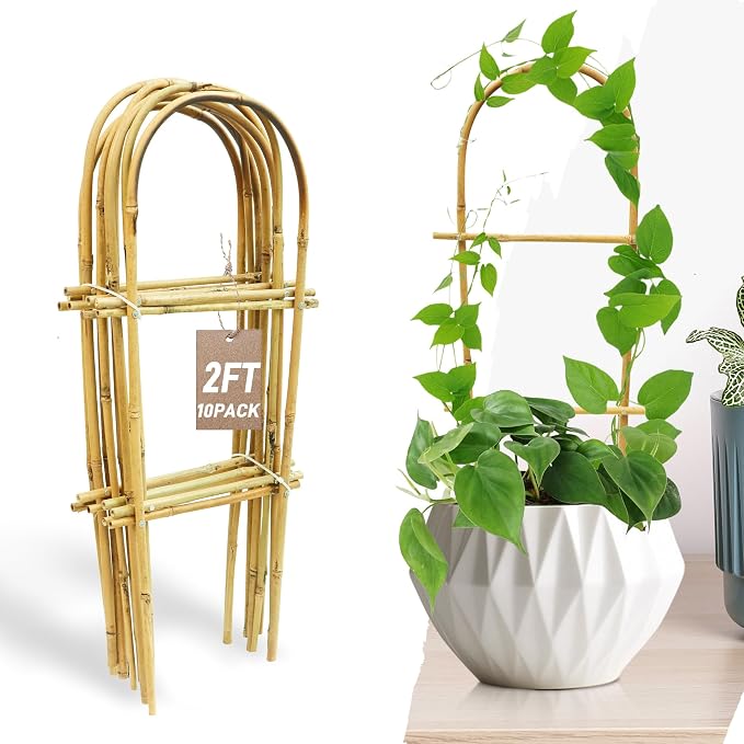 Avalution 10 Pack Bamboo U Trellis by Avalution