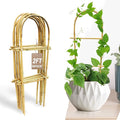 Avalution 10 Pack Bamboo U Trellis by Avalution