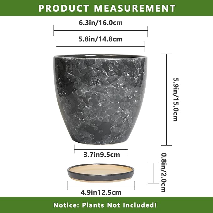 6.3 Inch Plant Pot - Image 3
