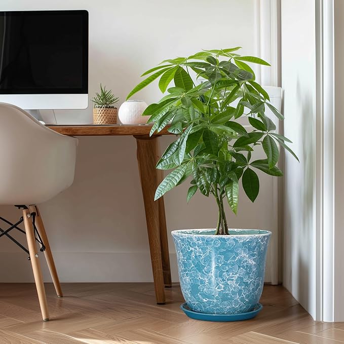 12 Inch Pots for Plants - Image 3