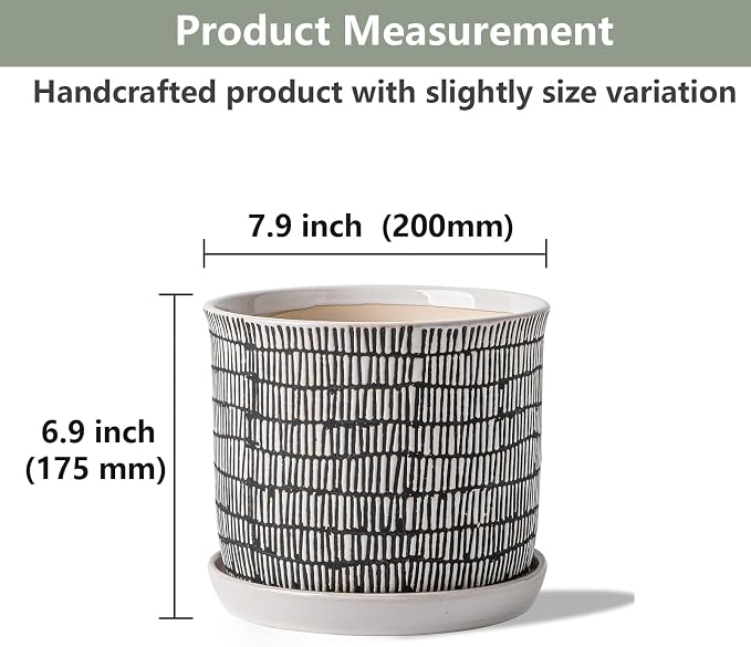 8 Inch Plant Pot: Ceramic Planter - Image 2