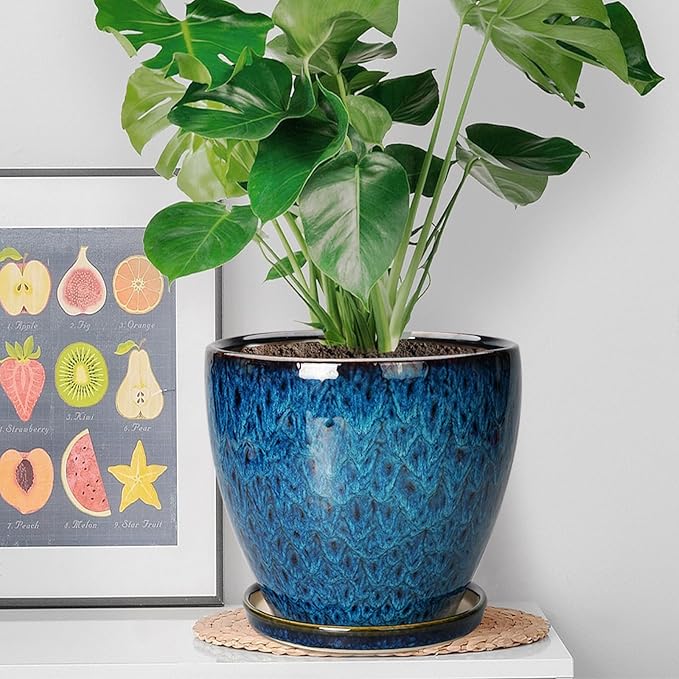 8 Inch Ceramic Planter Pot - Image 3
