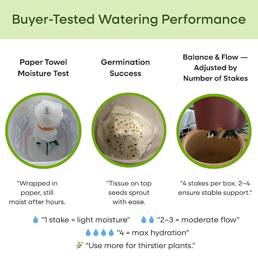 GreenShip 4-Pack Patented Self-Watering Spikes – DIY Plant Watering System - Image 5