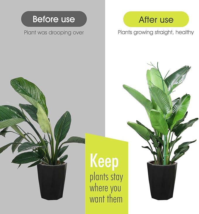 6 Pack Plant Support Stakes for Indoor Plants, 39.37 Inch Tall Twig Plant Sticks - Image 4