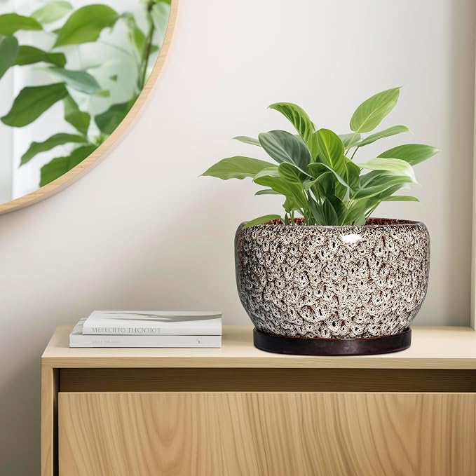 SQOWL Ceramic Plant Pots - Image 6