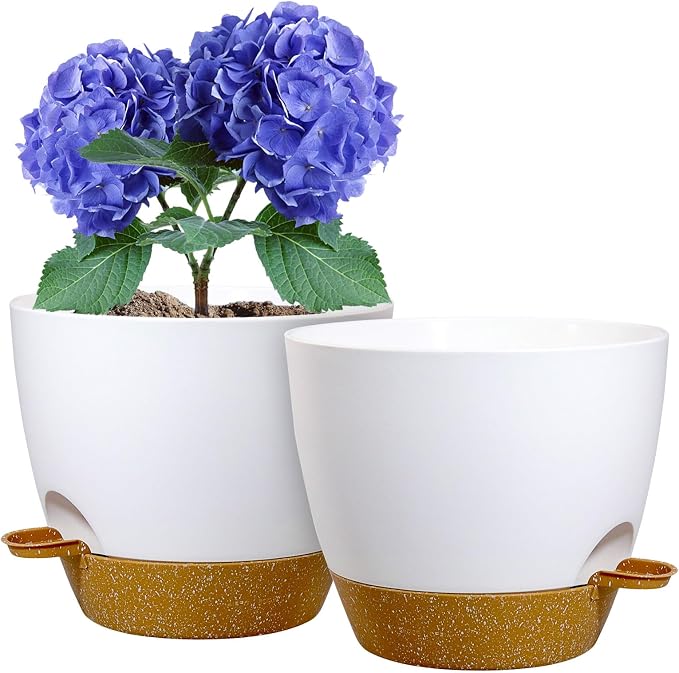 8 inch Self Watering Pots, 2 Pack Plastic Planters by WSMKSZ