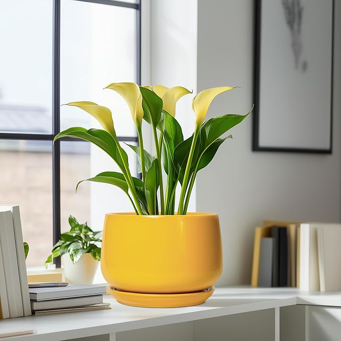 G EPGardening Ceramic Flower Pot - Image 6