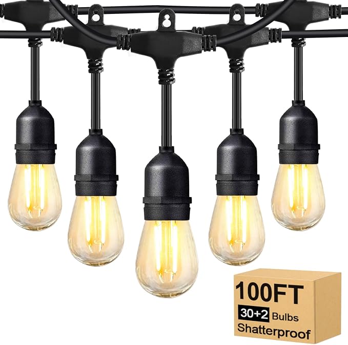 BRIMAX 2W 100FT Outdoor String Lights Commercial Grade by BRIMAX