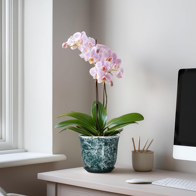 Ceramic Pots for Plants - Image 3