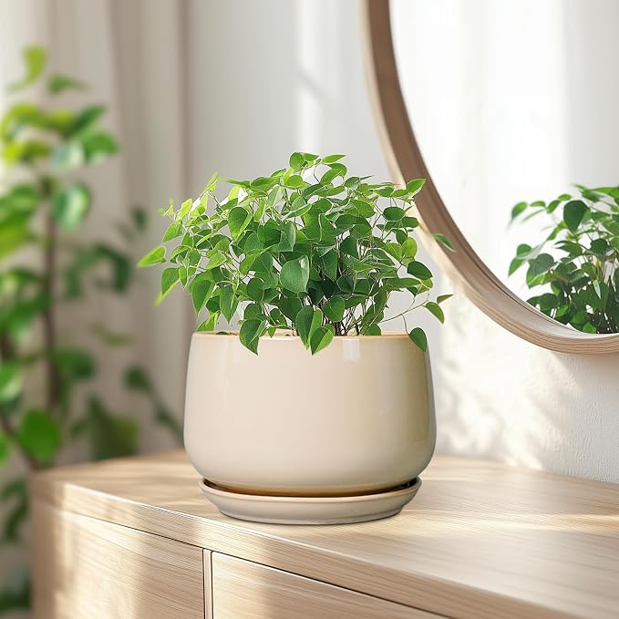 G EPGardening Ceramic Planter - Image 6