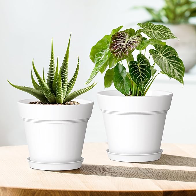 7 Inch Thick Plastic Plant Pots - Image 6