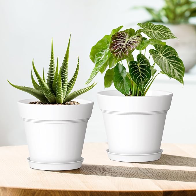 6 Inch Thick Plastic Plant Pots - Image 6