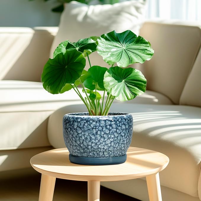 SQOWL 8 inch Plant Pot - Image 2