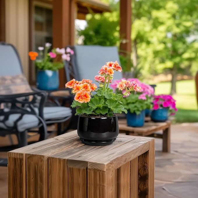 G EPGardening Small Ceramic Planter - Image 4